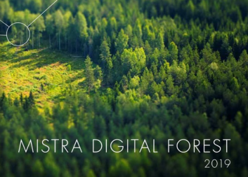 Nu finns Mistra Digital Forests årsrapport på engelska