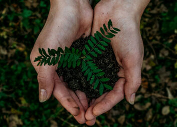 A new tool highlights the many values of the forests