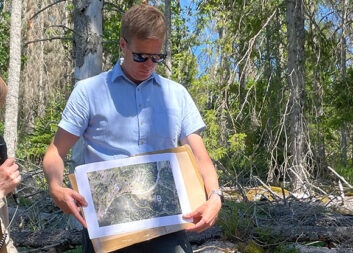 AI model for clearing needs was demonstrated at IUFRO
