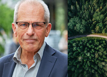 Knowing how the human brain works drives digital sustainable development in forestry